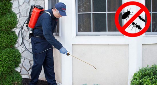 Çeşme Hamam Böceği İlaçlama böcek ilaçlama ve haşere kontrolü — ilaclama-tr.com
